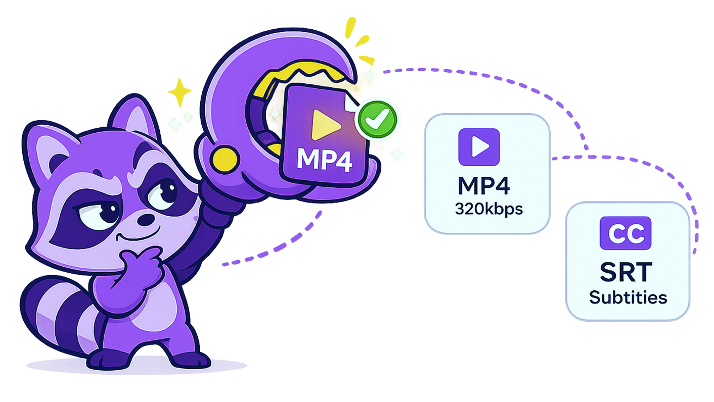 Snag picking a video format